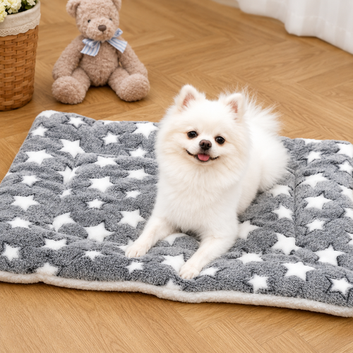 Fluffy white Pomeranian dog resting on a soft grey star-patterned pet mat.